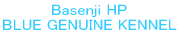 Basenji HP BLUE GENUINE KENNEL 